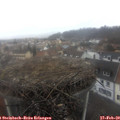 12_25-nest.jpg