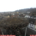 12_30-nest.jpg
