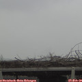 12_35-mast.jpg