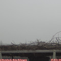 12_40-mast.jpg