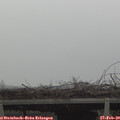 12_50-mast.jpg