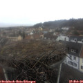 12_50-nest.jpg