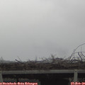 12_55-mast.jpg