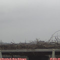 13_05-mast.jpg