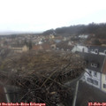 13_05-nest.jpg