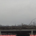13_10-mast.jpg