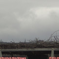 13_15-mast.jpg