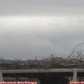 13_20-mast.jpg