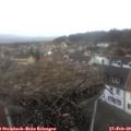 13_20-nest.jpg