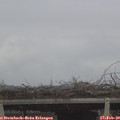 13_25-mast.jpg
