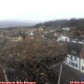 13_25-nest.jpg