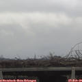 13_30-mast.jpg