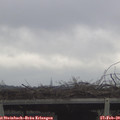13_35-mast.jpg