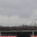 13_40-mast.jpg