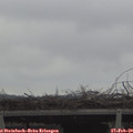 13_45-mast.jpg