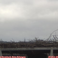 13_50-mast.jpg