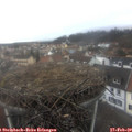 13_50-nest.jpg