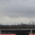 13_55-mast.jpg