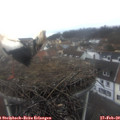 14_05-nest.jpg