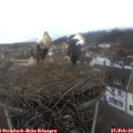 14_10-nest.jpg
