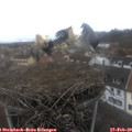 14_35-nest.jpg