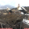 14_55-nest.jpg
