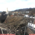 15_15-nest.jpg