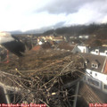 15_20-nest.jpg