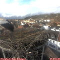 15_25-nest.jpg