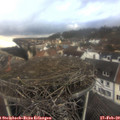 15_35-nest.jpg