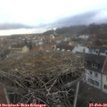 15_45-nest.jpg