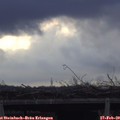 15_50-mast.jpg