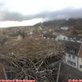 15_50-nest.jpg