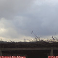 16_00-mast.jpg