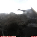 16_05-nest.jpg