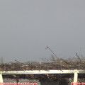 16_10-mast.jpg