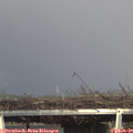 16_25-mast.jpg