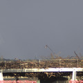 16_30-mast.jpg