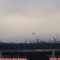 17_05-mast.jpg