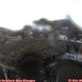 17_05-nest.jpg