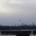 17_10-mast.jpg