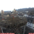07_15-nest.jpg