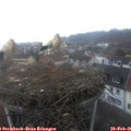 07_20-nest.jpg