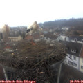 07_25-nest.jpg