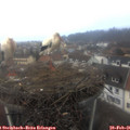 07_30-nest.jpg