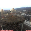07_35-nest.jpg