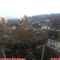 07_40-nest.jpg