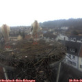 07_45-nest.jpg