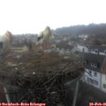 07_55-nest.jpg