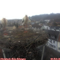 08_05-nest.jpg